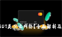 TP钱包中的USDT是什么网络