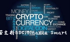 ### IM钱包是否支持BSC（Binance Smart Chain）？全面解