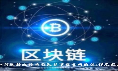 如何选择比特币钱包并下载官网软件：详尽指南