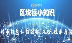 比特币钱包私钥破解：风