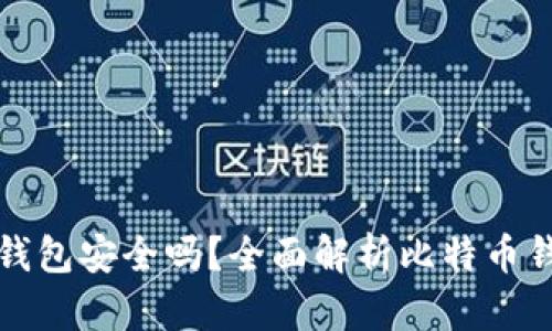 比特币中国钱包安全吗？全面解析比特币钱包的安全性