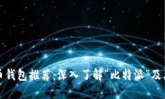 比特币钱包推荐：深入了