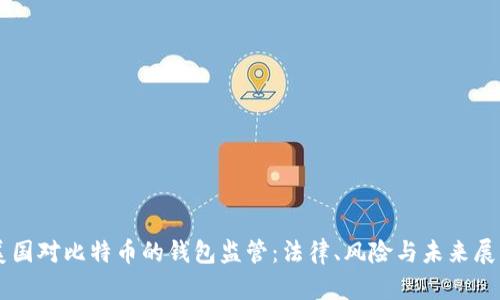 美国对比特币的钱包监管：法律、风险与未来展望