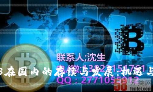 Web3在国内的存续与发展：机遇与挑战