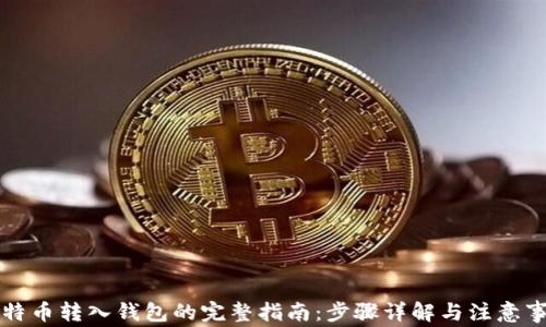 
比特币转入钱包的完整指南：步骤详解与注意事项