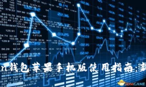 imToken钱包苹果手机版使用指南：新手必看