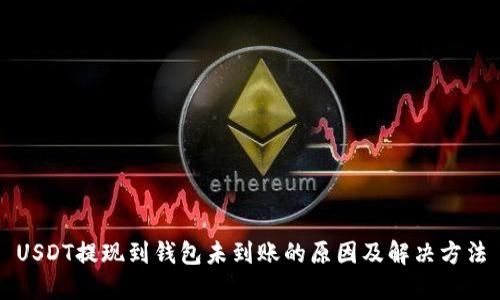 USDT提现到钱包未到账的原因及解决方法