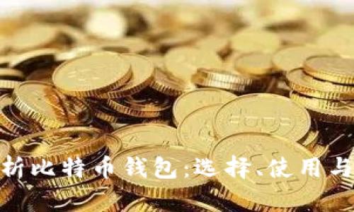 : 全面解析比特币钱包：选择、使用与安全策略