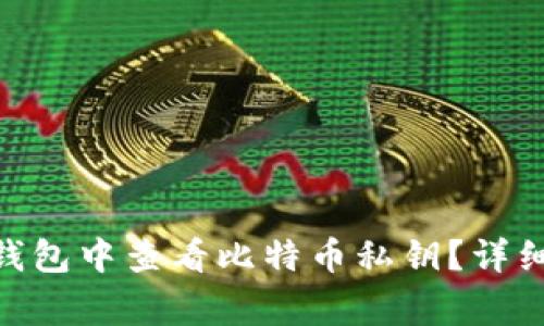如何在imToken钱包中查看比特币私钥？详细指南与注意事项