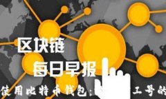 如何安全使用比特币钱包