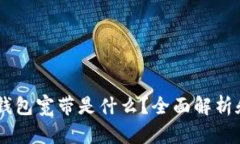 ### IM钱包宽带是什么？全面解析和应用前景