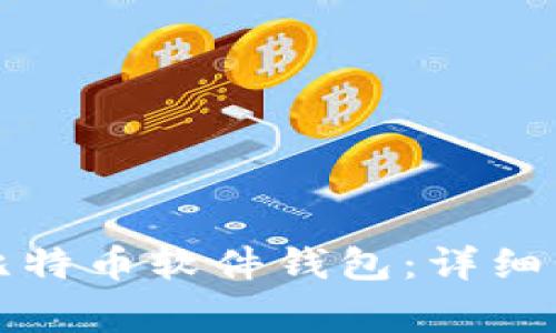 如何下载安装比特币软件钱包：详细步骤与注意事项
