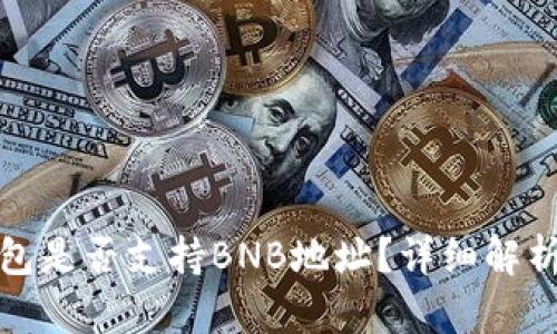 ImToken钱包是否支持BNB地址？详细解析与使用指南