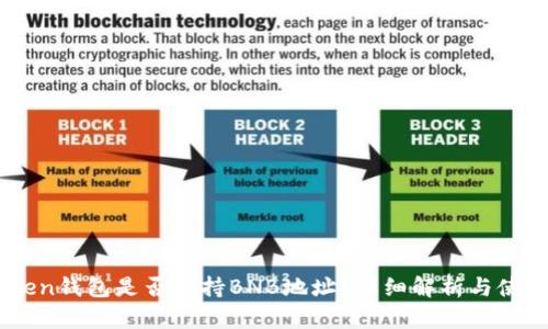 ImToken钱包是否支持BNB地址？详细解析与使用指南