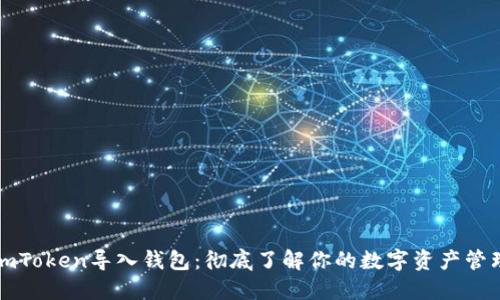 imToken导入钱包：彻底了解你的数字资产管理