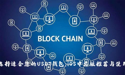如何选择适合您的USDT钱包：iOS中文版推荐与使用指南