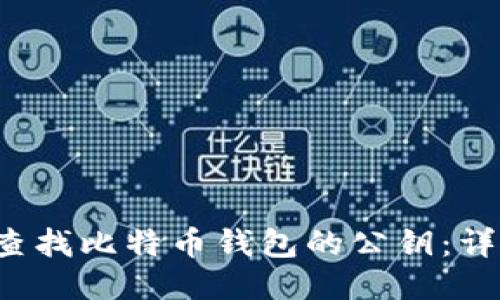  如何查找比特币钱包的公钥：详细指南