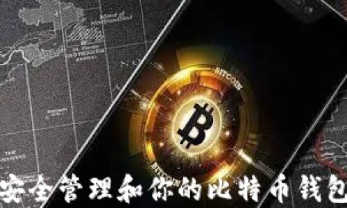 
如何安全管理和你的比特币钱包金额
