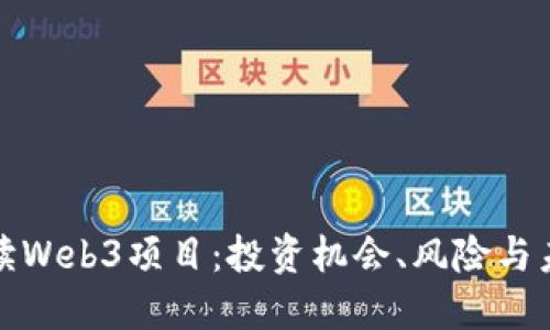 深入解读Web3项目：投资机会、风险与未来趋势