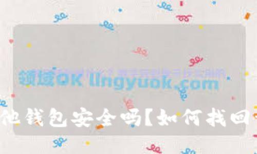 USDT提到其他钱包安全吗？如何找回误转的USDT？