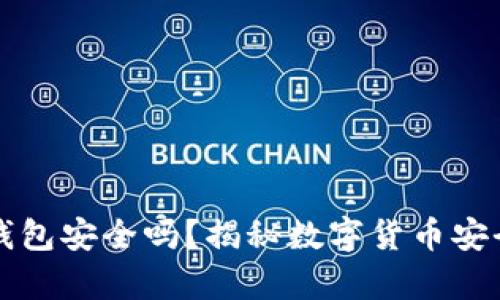 比特币钱包安全吗？揭秘数字货币安全的真相