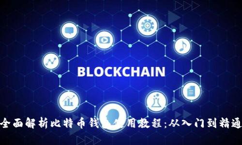 全面解析比特币钱包使用教程：从入门到精通