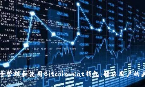 如何安全管理和使用Bitcoin dat钱包：解决用户的头疼问题
