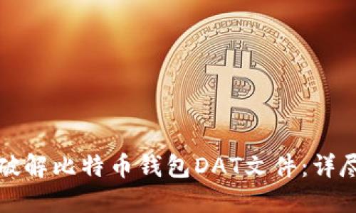 如何破解比特币钱包DAT文件：详尽指南