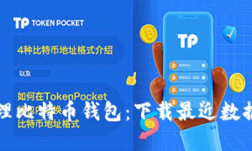 如何高效管理比特币钱包：下载最近数据的最佳实践