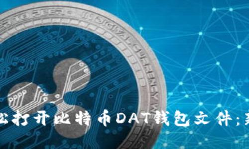 如何轻松打开比特币DAT钱包文件：新手指南