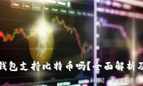 ImToken钱包支持比特币吗？全面解析及使用指南