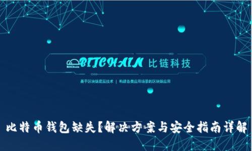 比特币钱包缺失？解决方案与安全指南详解