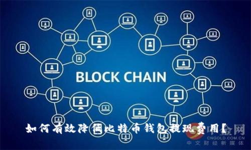 如何有效降低比特币钱包提现费用？