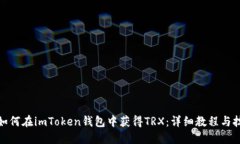 : 如何在imToken钱包中获得