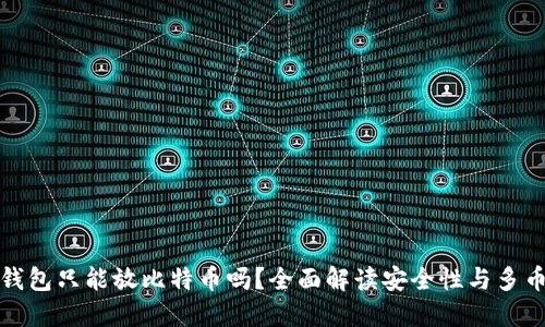 比特币钱包只能放比特币吗？全面解读安全性与多币种选择