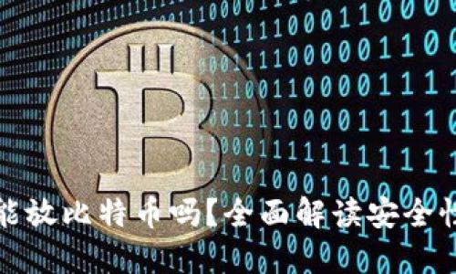 比特币钱包只能放比特币吗？全面解读安全性与多币种选择