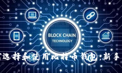 如何选择和使用比特币钱包：新手指南