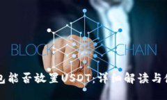 苹果钱包能否放置USDT：详