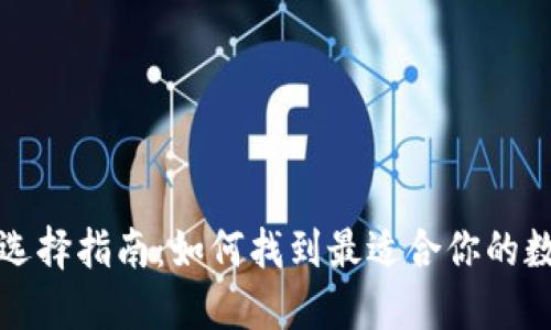 比特币钱包选择指南：如何找到最适合你的数字资产钱包