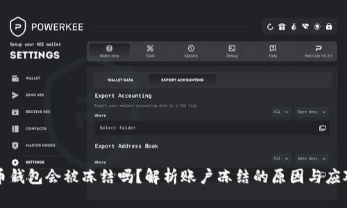 比特币钱包会被冻结吗？解析账户冻结的原因与应对方法