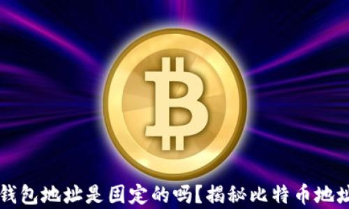 
比特币钱包地址是固定的吗？揭秘比特币地址的真相