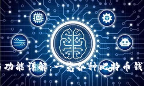 比特币钱包的外观与功能详解：一览各种比特币钱包的类型与选择指南