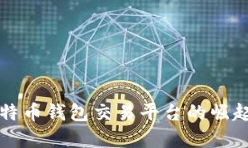 早期比特币钱包交易平台的崛起与发展