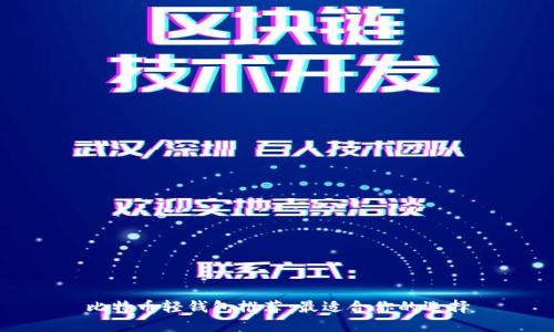 比特币轻钱包推荐：最适合你的选择